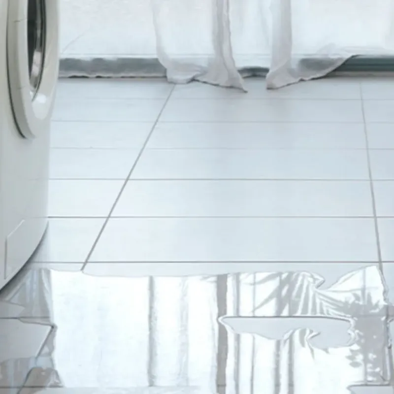 Appliance Leak Cleanup in Painesville, OH