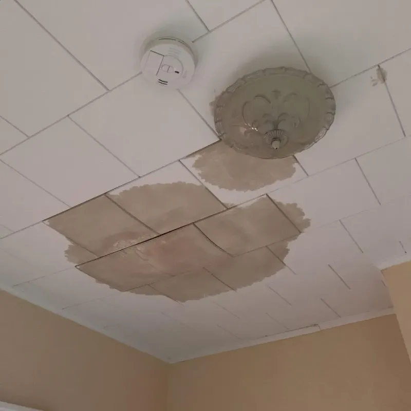 Ceiling Water Damage Repair in Painesville, OH